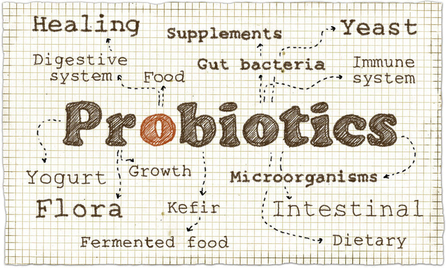 Probiotics and Digestive Enzymes Ways to Improve Gut Health